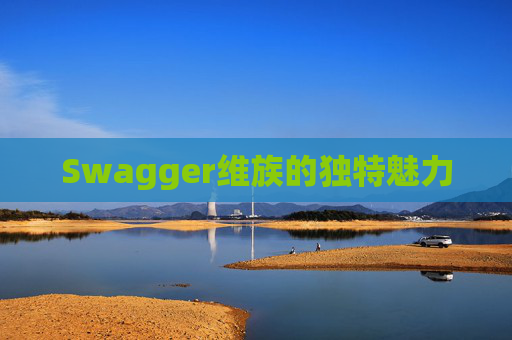 Swagger维族的独特魅力